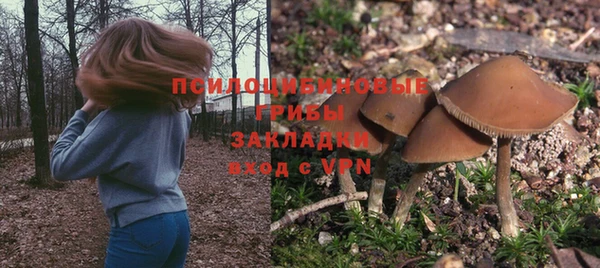 соль курить ск Алзамай
