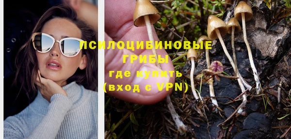 твердый Алексеевка