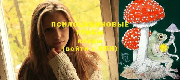 соль курить ск Алзамай