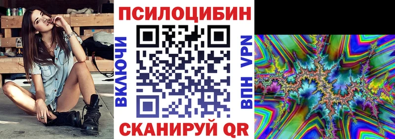 закладки Ахтырский Псилоцибиновые грибы Cubensis